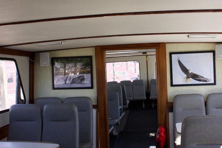 Wildlife Viewing, Sightseeing and Whale Watching Quest