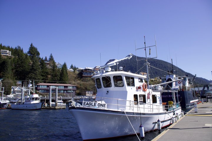 Wildlife Viewing, Sightseeing and Whale Watching Quest