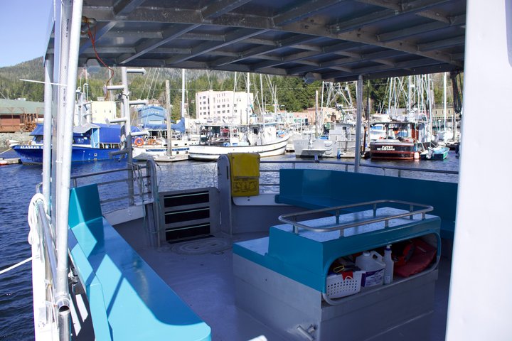 Wildlife Viewing, Sightseeing and Whale Watching Quest