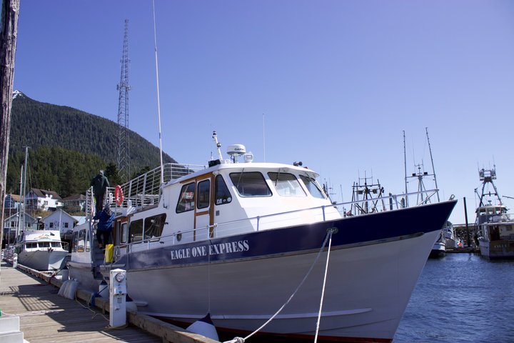 Wildlife Viewing, Sightseeing and Whale Watching Quest