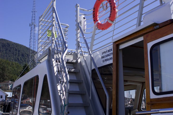 Wildlife Viewing, Sightseeing and Whale Watching Quest