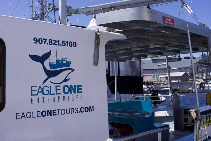 Wildlife Viewing, Sightseeing and Whale Watching Quest