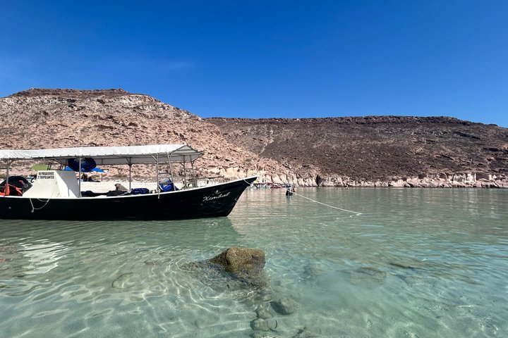 Espiritu Santo Island Tour with Sea Lion Snorkeling