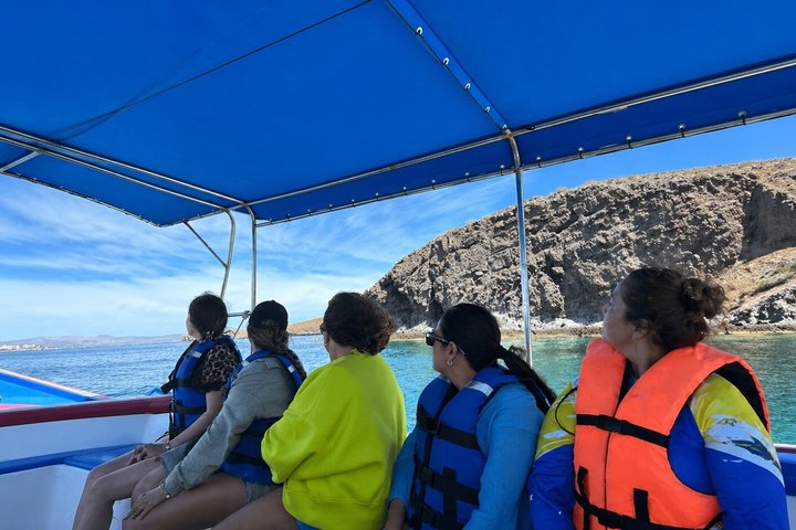 Espiritu Santo Island Tour with Sea Lion Snorkeling