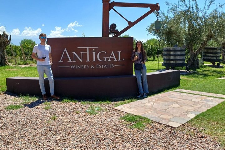 Bike Tour with Winery and Olivicola Tastings