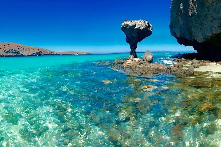 Espiritu Santo Island Tour with Sea Lion Snorkeling