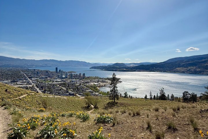 Kelowna: #1 Rated Walking Food Tour with 7 Tastings and 4 Drinks