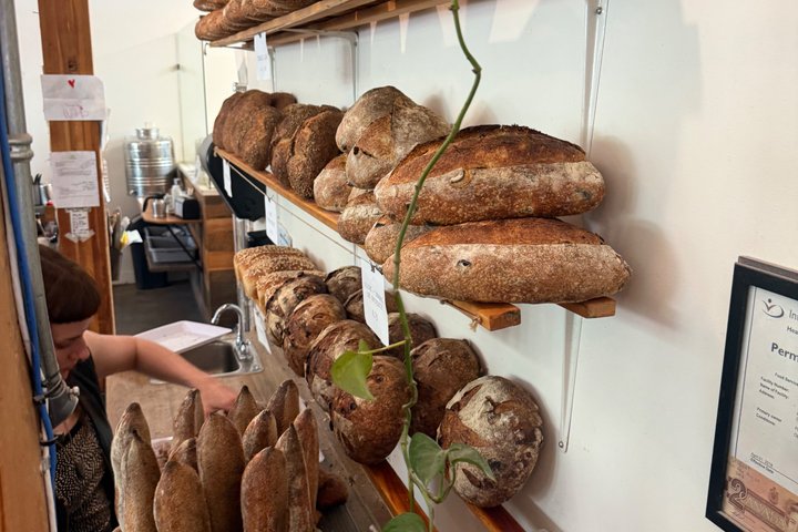 Kelowna: #1 Rated Walking Food Tour with 7 Tastings and 4 Drinks
