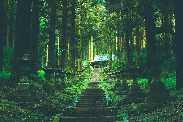 Day Tour to Miyazaki Takachiho Gorge & Shrine depart from Fukuoka
