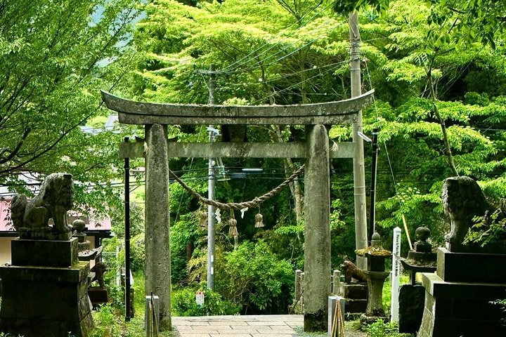 Day Tour to Miyazaki Takachiho Gorge & Shrine depart from Fukuoka