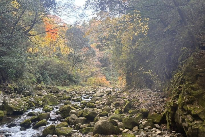 Day Tour to Miyazaki Takachiho Gorge & Shrine depart from Fukuoka