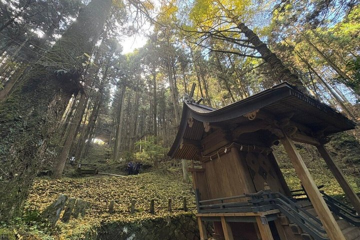 Day Tour to Miyazaki Takachiho Gorge & Shrine depart from Fukuoka