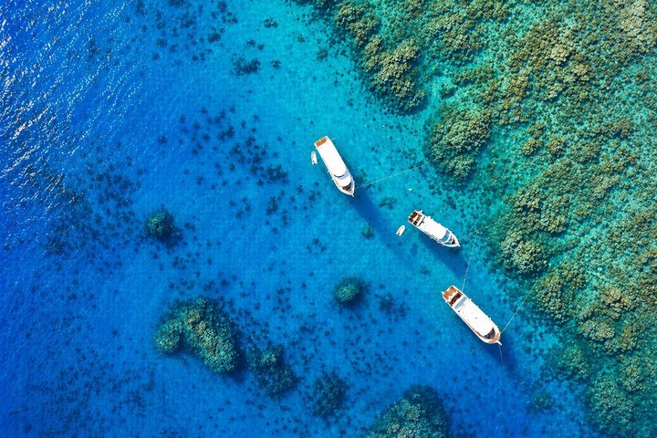 Hurghada: VIP Seafood Yacht to 3 Islands, Dolphins & Snorkeling