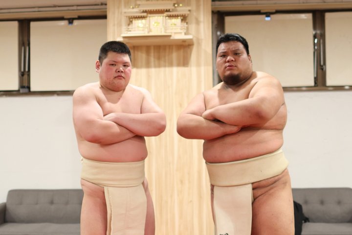 Tokyo Shinjuku Sumo Show & Experience with Photo