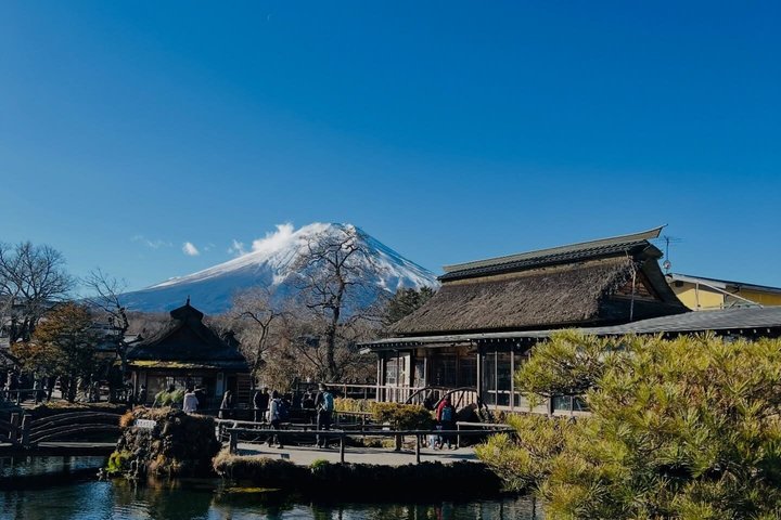 Mount Fuji and Hakone Private Tour from Tokyo With Driver Guide