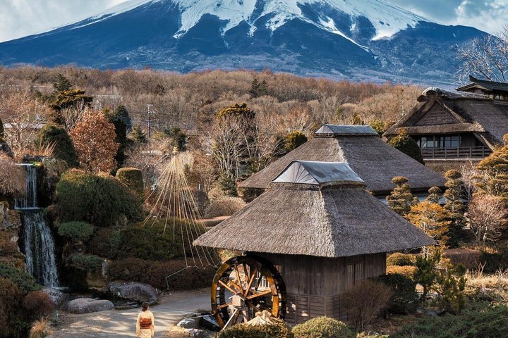 Mount Fuji and Hakone Private Tour from Tokyo With Driver Guide