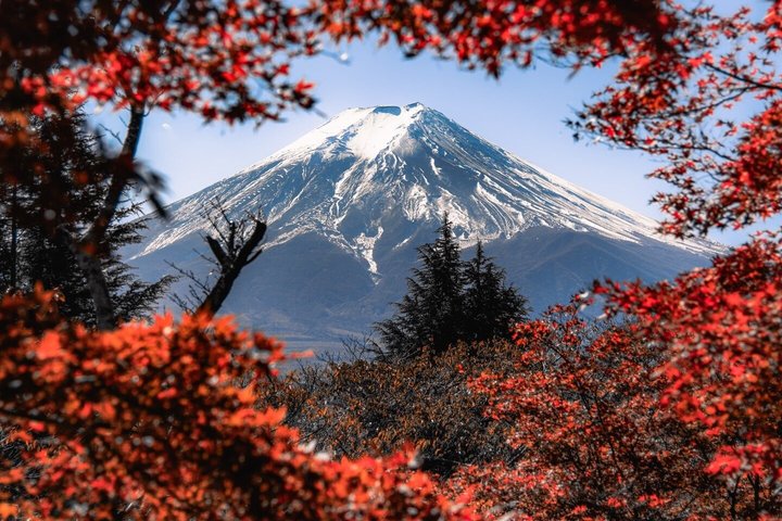 Mount Fuji and Hakone Private Tour from Tokyo With Driver Guide