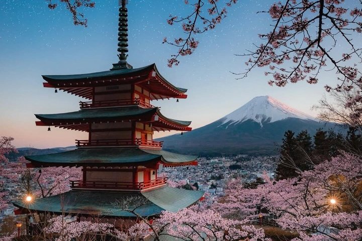 Mount Fuji and Hakone Private Tour from Tokyo With Driver Guide
