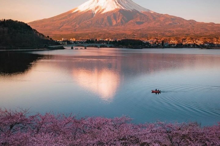 Mount Fuji and Hakone Private Tour from Tokyo With Driver Guide