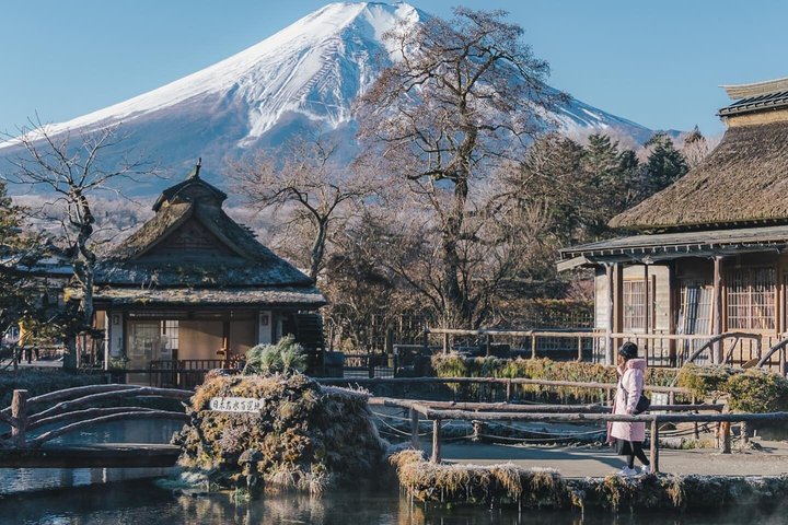 Mount Fuji and Hakone Private Tour from Tokyo With Driver Guide