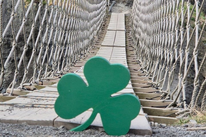 Irish Gems on the Causeway Coast Private Tour from Belfast