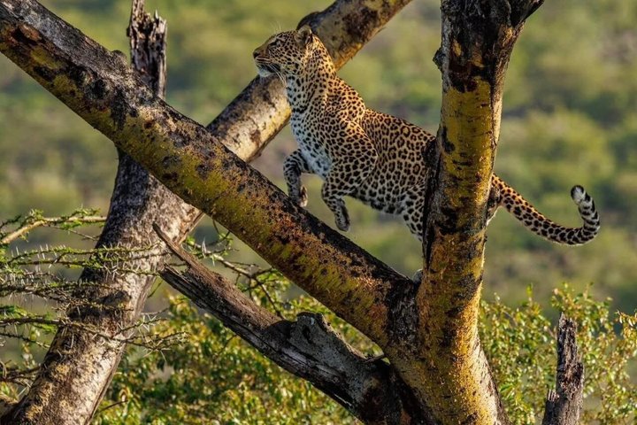Lake Nakuru National Park Half Day Price Per Vehicle from Nakuru