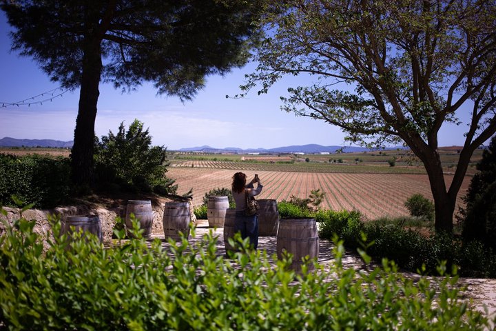 Valencia: Utiel-Requena Cave & Winery Day Trip with Tasting