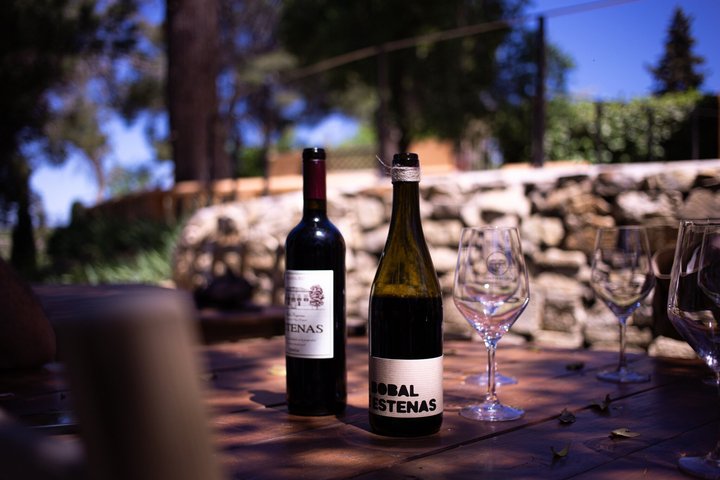 Valencia: Utiel-Requena Cave & Winery Day Trip with Tasting
