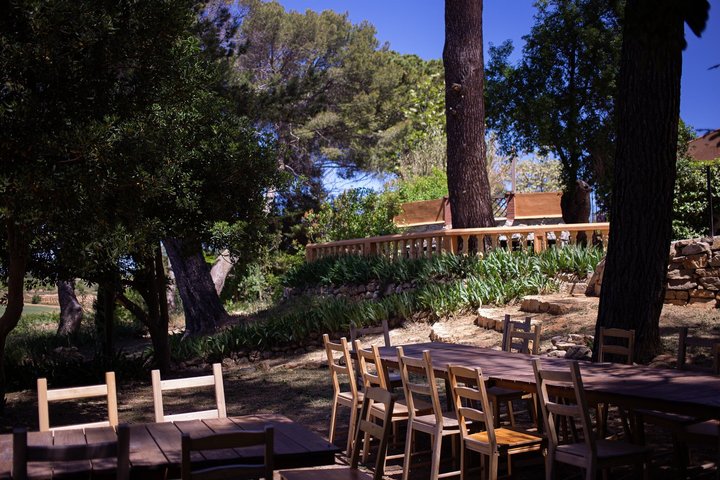 Valencia: Utiel-Requena Cave & Winery Day Trip with Tasting