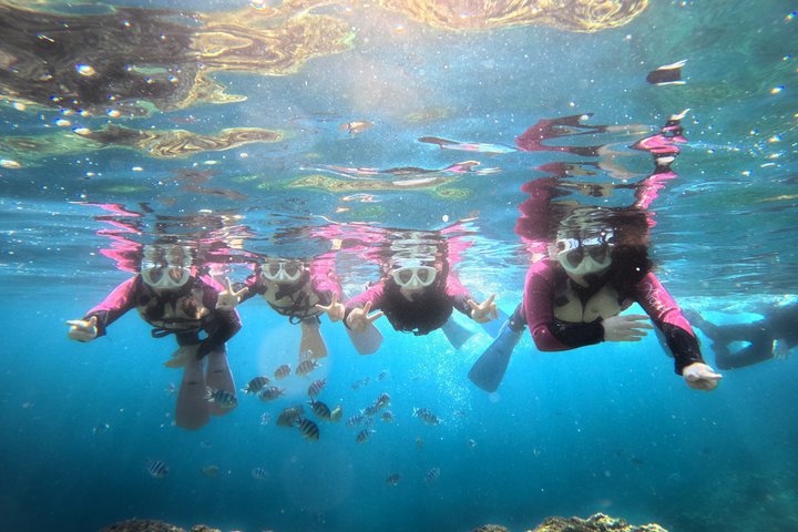 【OKINAWA・BLUE CAVE】Private Snorkelling -Discount for 3+people