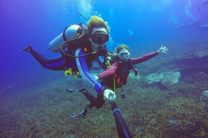 Tiran Island Snorkeling , Diving Cruise & Lunch - Sharm El Sheikh