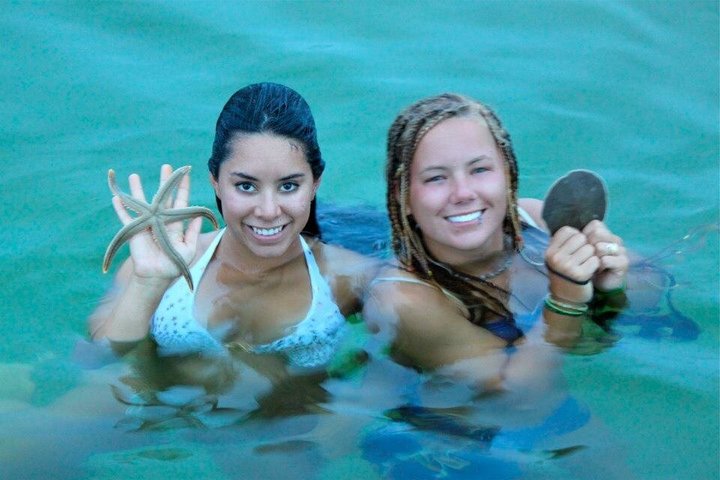 3 Hour Panama City Beach Dolphin Cruise and Shell Island Tour