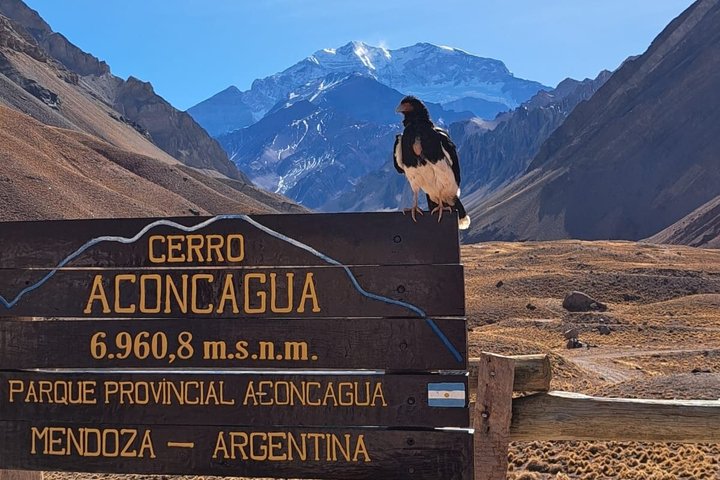 Full-Day Aconcagua Experience