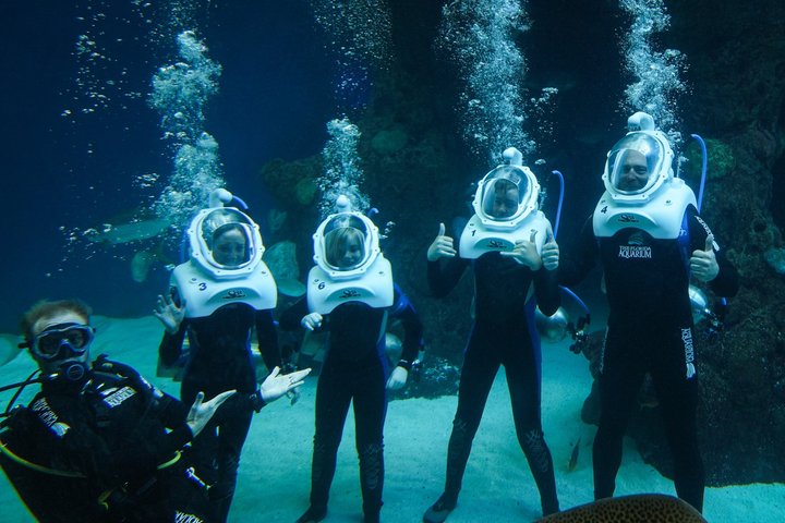 The Florida Aquarium in Tampa General Admission