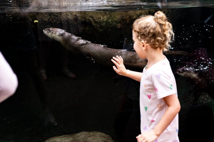 The Florida Aquarium in Tampa General Admission