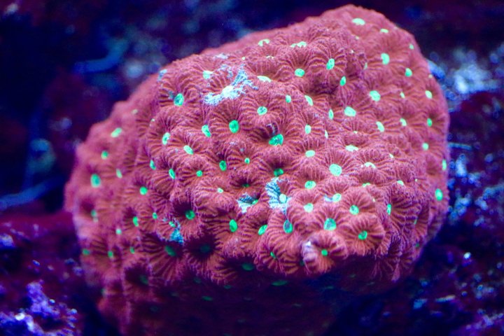 The Florida Aquarium in Tampa General Admission