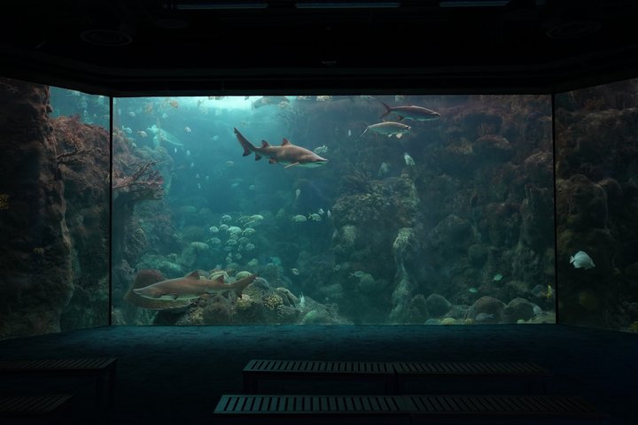 The Florida Aquarium in Tampa General Admission