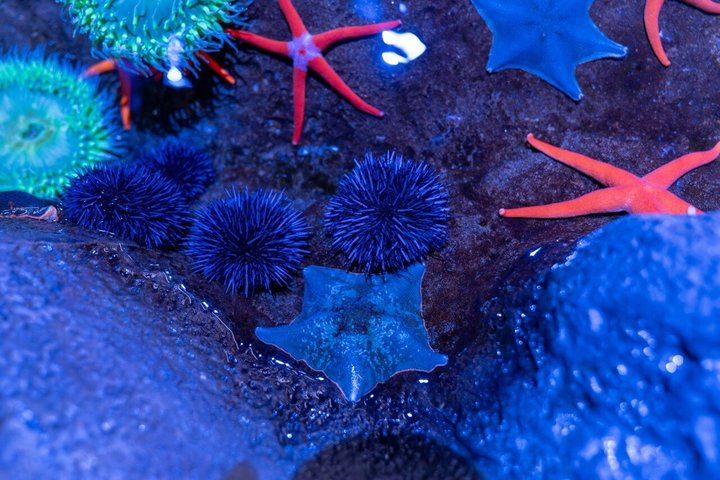 The Florida Aquarium in Tampa General Admission