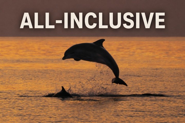 3Hour ALL-INCLUSIVE Sunset Dolphin Watching from Medulin onSandra