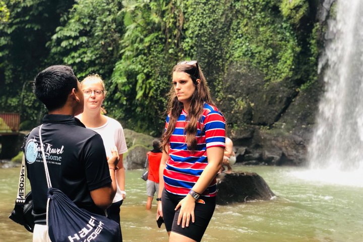 Ubud: Monkey Forest, Rice Terrace, Elephant Cave & Waterfall Tour