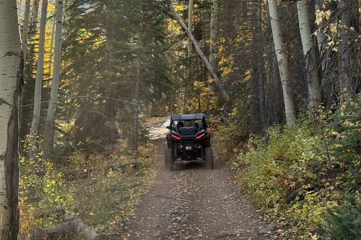 Uinta Mountains: Extreme 2 Hour UTV Adventure (2 Seat RZR)