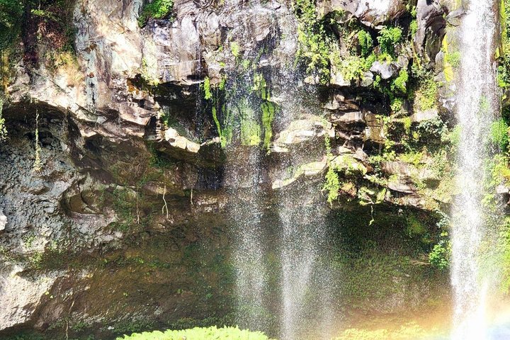 Jeju Island English Private & Flexible Tour any number anywhere