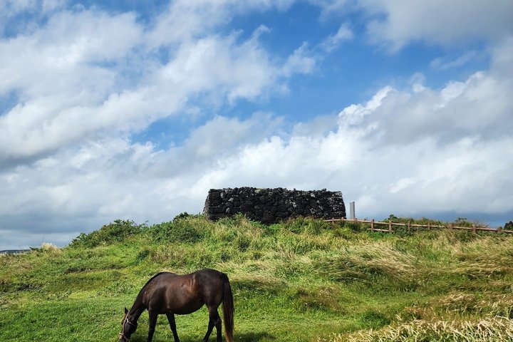 Jeju Island English Private & Flexible Tour any number anywhere