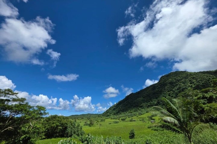 Southeast Side of Upolu Full-Day Island Tour of Samoa