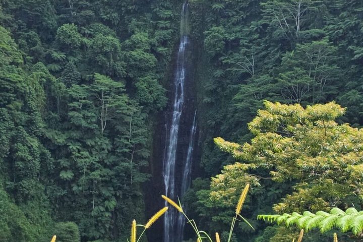 Southeast Side of Upolu Full-Day Island Tour of Samoa