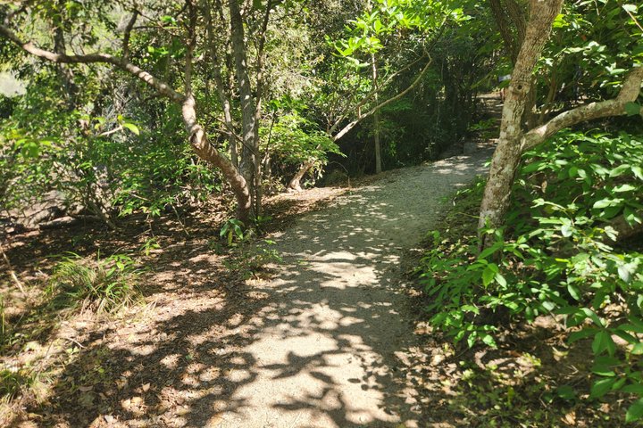 Magnetic Island Adventurer Tour