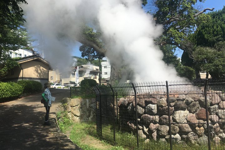 Beppu Nature and Hot Spring Nordic Walking Tour with Local Lunch