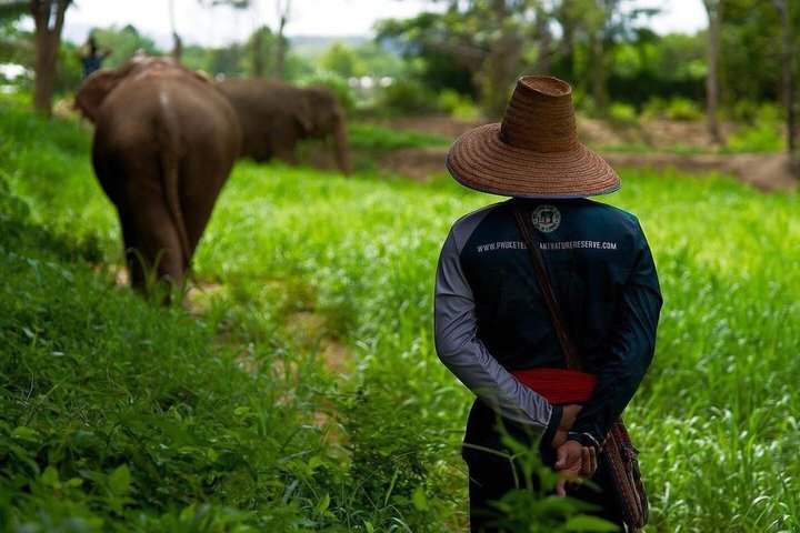 Phuket Elephant Nature Reserve Ethical Sanctuary
