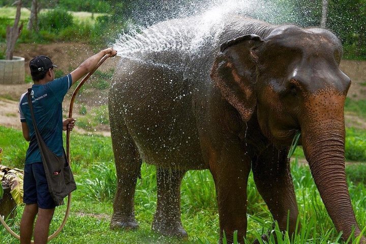Phuket Elephant Nature Reserve Ethical Sanctuary