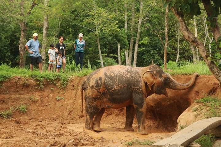 Phuket Elephant Nature Reserve Ethical Sanctuary